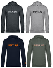 Lade das Bild in den Galerie-Viewer, 1417 HOODIE light 'Breylske'