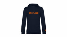Lade das Bild in den Galerie-Viewer, 1417 HOODIE light 'Breylske'